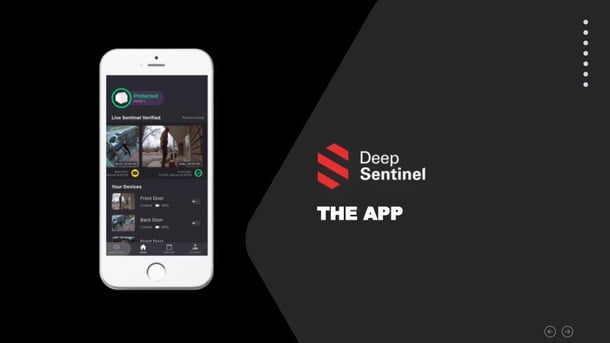 Deep_Sentinel_App_for_Partners